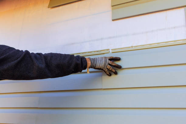 Best Brick Veneer Siding  in Coal City, IL